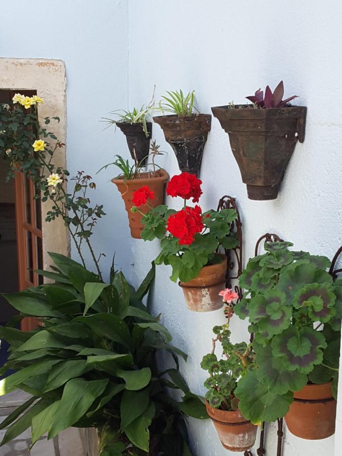 Rua Das Rosas 22/B&B Figueira da Foz Exterior photo